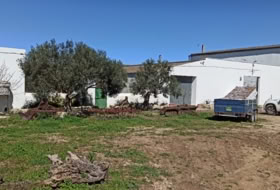 San José del Valle 150000&nbsp;m² 