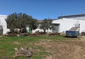 Rural estate for sale on Calle Cuesta de San Antonio 158 A, San José del Valle, ref: TR393906 photo