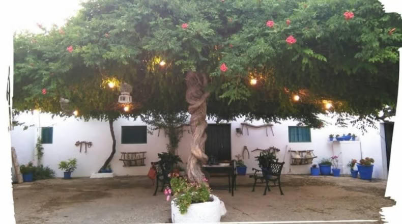 Cadiz - San José del Valle - 150000m2