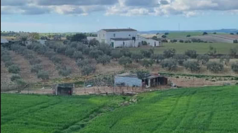 Cadiz - San José del Valle - 150000m2