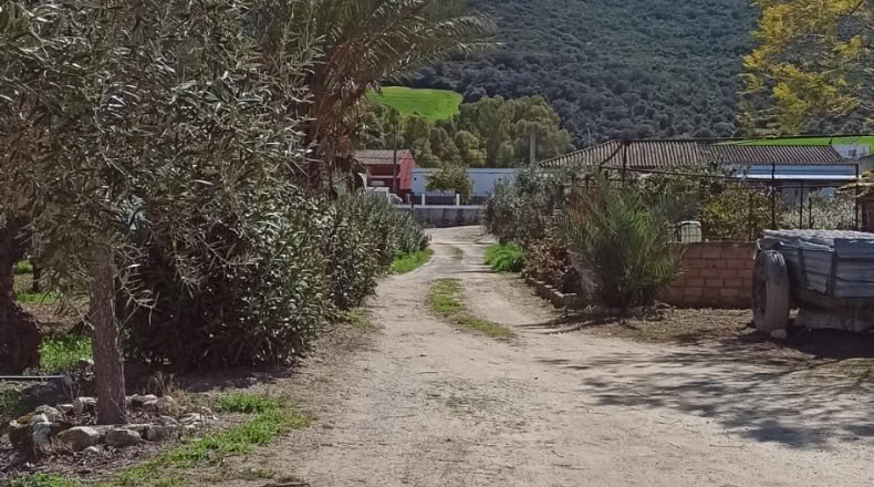 Cadiz - San José del Valle - 150000m2