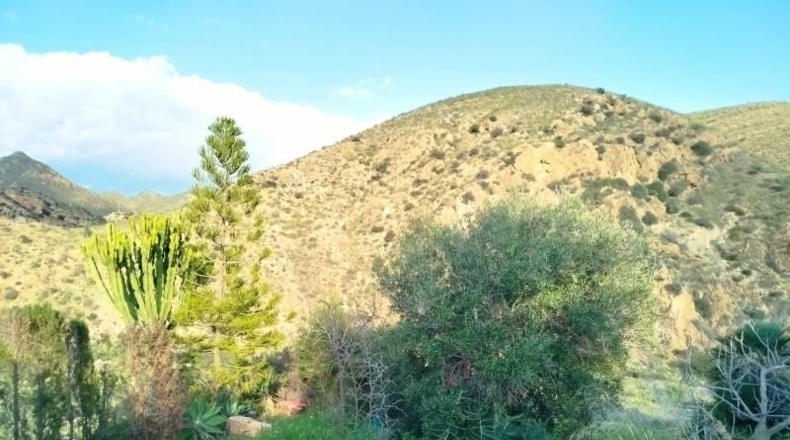 Cádiz - Puerto Real - 3000m2