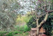 Chalet independiente con terreno en venta en la España, Murcia, ref: TR400578 foto