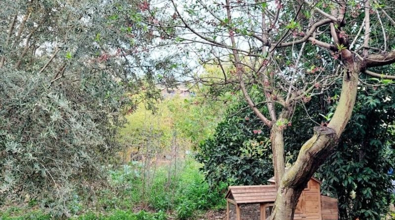 Valencia - Beniatjar - 682m2