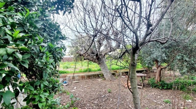 Valencia - Beniatjar - 682m2