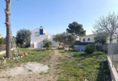 Chalet independiente con terreno en venta en la España, l'Ametlla de Mar, ref: TR400351 foto