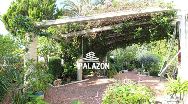 Alicante - Crevillent - 2800m2