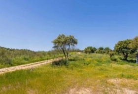 Valdemorillo 600000&nbsp;м²