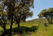 Casa de campo con terreno en venta en la España, Valdemorillo, ref: TR400536 foto