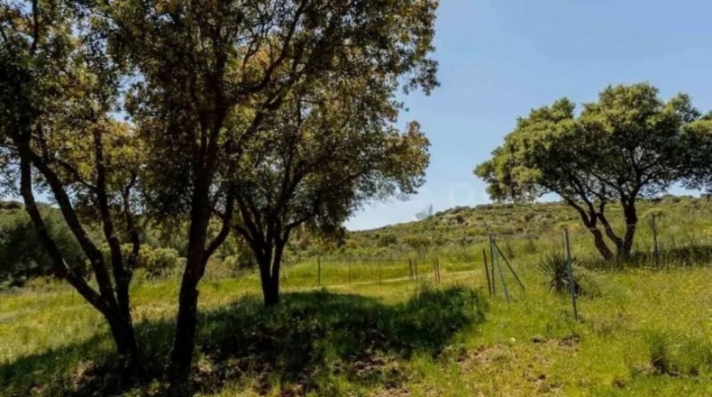 Comunidad de Madrid - Valdemorillo - 600000m2