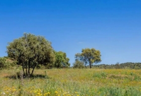 Valdemorillo 600000&nbsp;м²