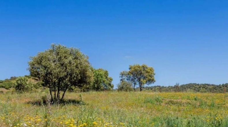 Comunidad de Madrid - Valdemorillo - 600000m2