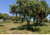 Casa de campo con terreno en venta en la España, Valdemorillo, ref: TR400536 foto