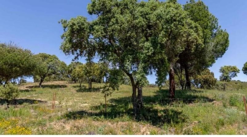 Comunidad de Madrid - Valdemorillo - 600000m2