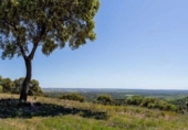 Casa de campo con terreno en venta en la España, Valdemorillo, ref: TR400536 foto