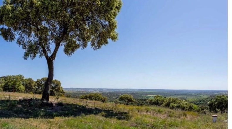 Comunidad de Madrid - Valdemorillo - 600000m2