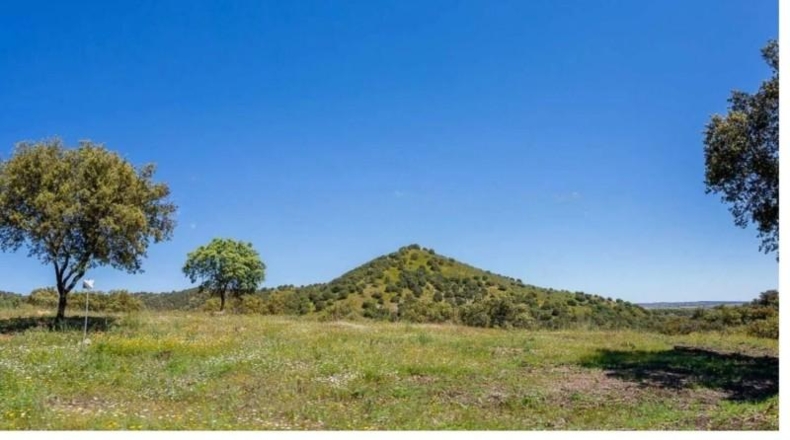 Comunidad de Madrid - Valdemorillo - 600000m2
