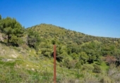 Casa de campo con terreno en venta en la España, Valdemorillo, ref: TR400536 foto
