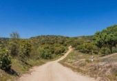 Casa de campo con terreno en venta en la España, Valdemorillo, ref: TR400536 foto