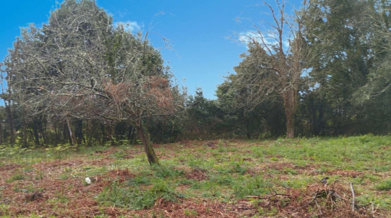 La Corunya - Cabanas - 1400m2