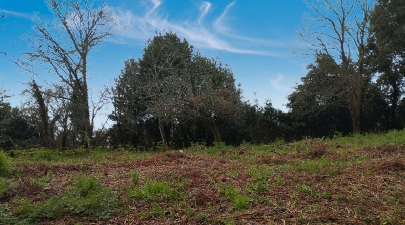 La Corunya - Cabanas - 1400m2