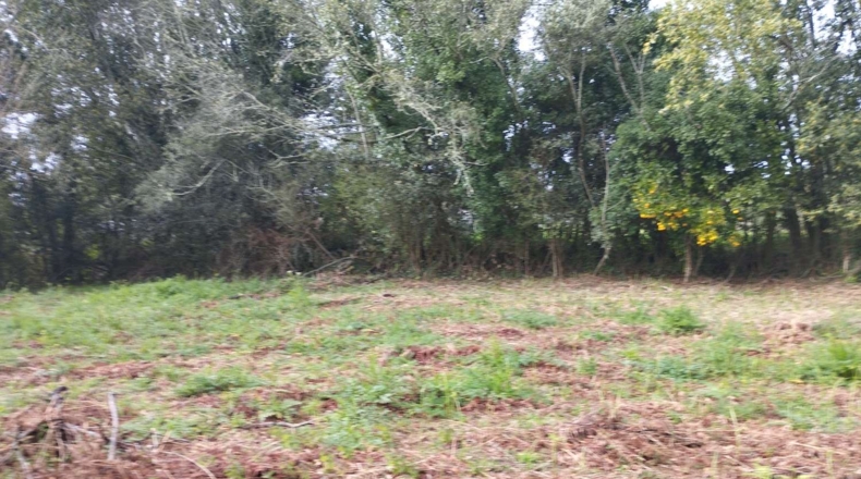 La Corunya - Cabanas - 1400m2