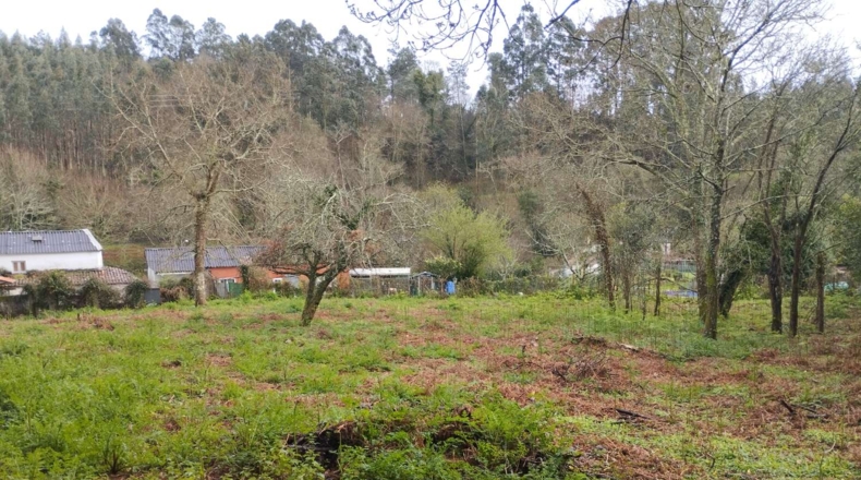La Corunya - Cabanas - 1400m2