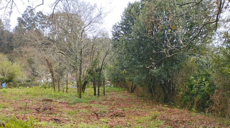 La Corunya - Cabanas - 1400m2