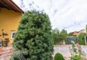Chalet independiente con terreno en venta en la Calle Robledal, Zarzuela del Monte, ref: TR393973 foto