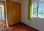Chalet independiente con terreno en venta en la Paseo de los Olmos, Zarzuela del Monte, ref: TR393972 foto