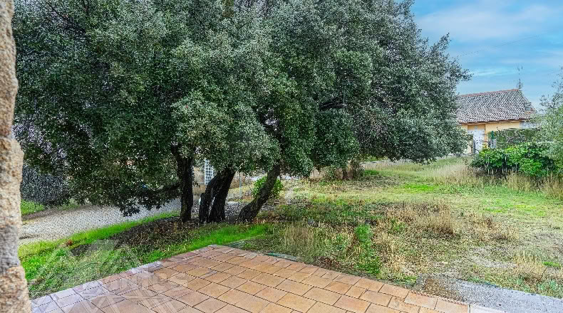 Segòvia - Zarzuela del Monte - 1047m2