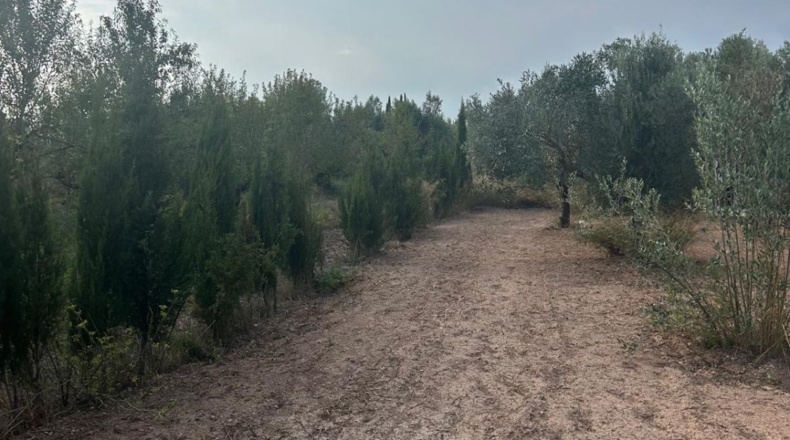 Castellón - Херика - 1100m2