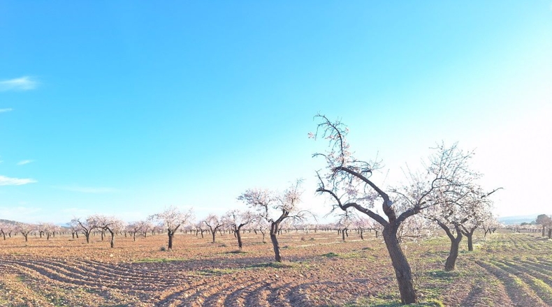 Granada - Huéscar - 374m2