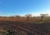 Non-developable land for sale in Huéscar ref: TR393974 photo