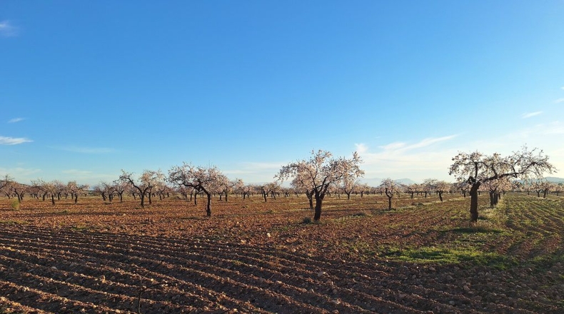 Granada - Huéscar - 374m2