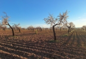 Non-developable land for sale in Huéscar ref: TR393974 photo