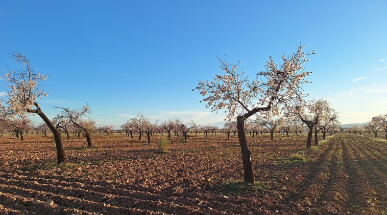 Granada - Huéscar - 374m2