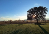 Non-developable land for sale in Huéscar ref: TR393974 photo