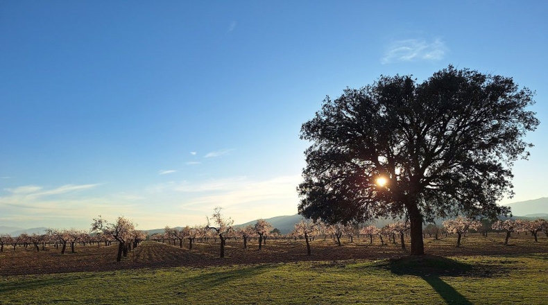 Granada - Huéscar - 374m2