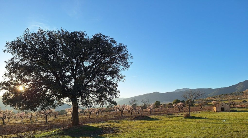 Granada - Huéscar - 374m2