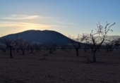 Non-developable land for sale in Huéscar ref: TR393974 photo