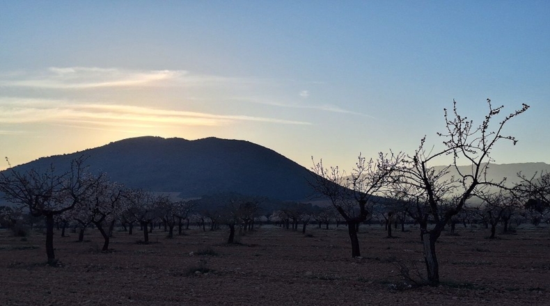 Granada - Huéscar - 374m2