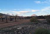 Non-developable land for sale in Huéscar ref: TR393974 photo