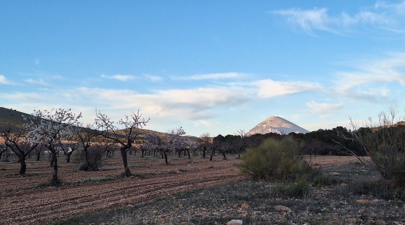 Granada - Huéscar - 374m2