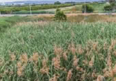 Suelo urbano en venta en la España, Moncofa, ref: TR393994 foto