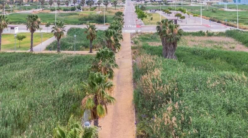 Castellón - Moncófar - 1051m2