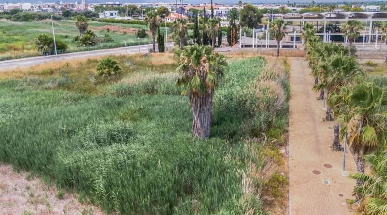 Castellón - Moncófar - 1051m2