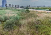 Suelo urbano en venta en la España, Moncofa, ref: TR393994 foto