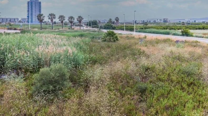 Castellón - Moncófar - 1051m2