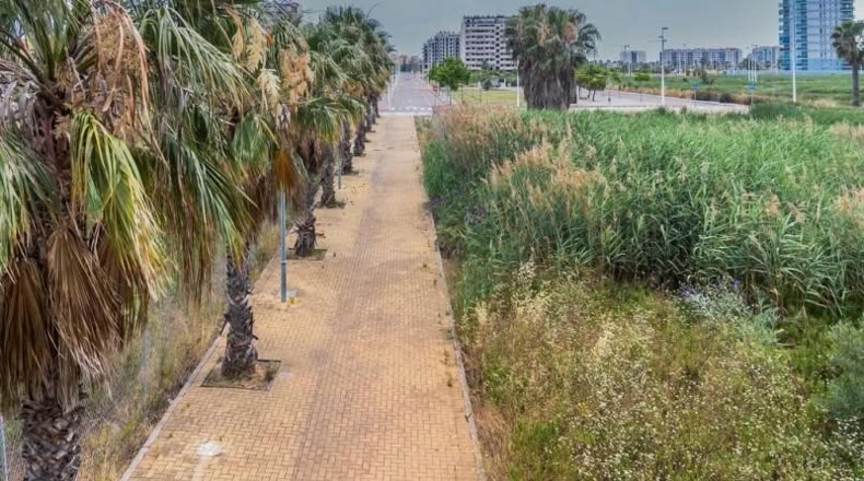 Castellón - Moncófar - 1051m2